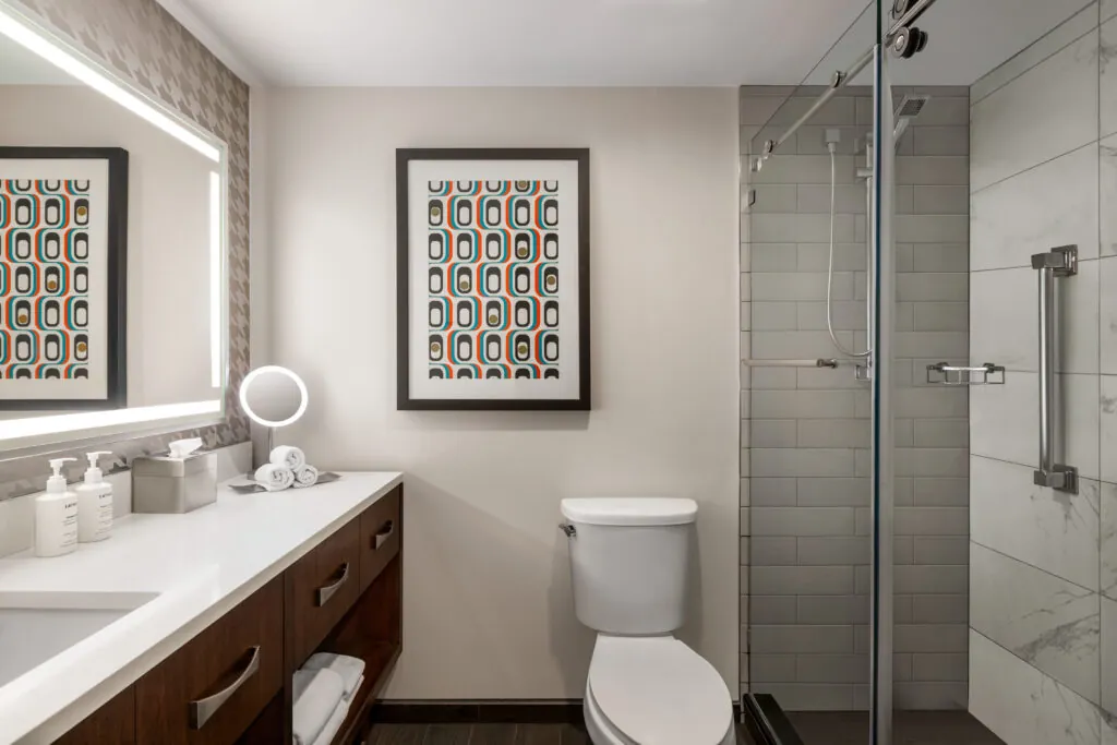 ATLSS_standard_bathroom_01