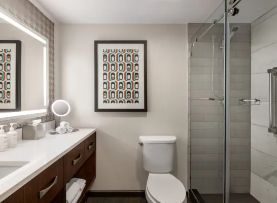 ATLSS standard bathroom 01 scaled