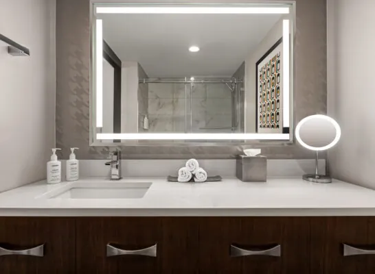 ATLSS standard bathroom 02 scaled